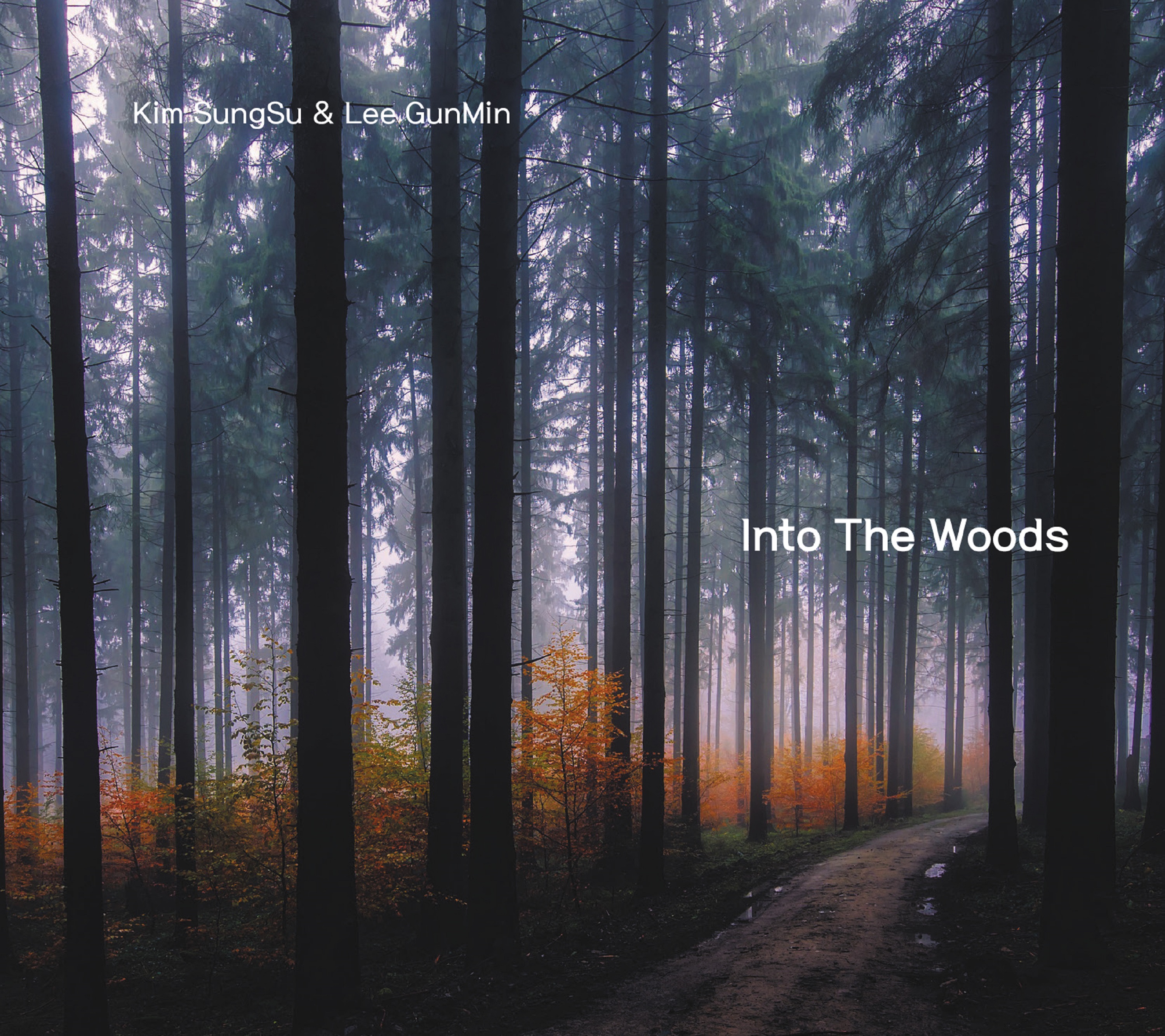 김성수 & 이건민 - Into The Woods (CD)